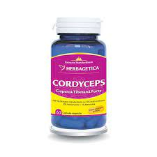 CORDYCEPS 10 30 1 60 CPS