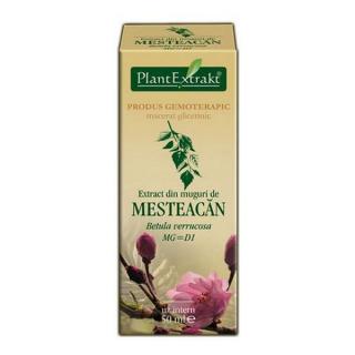 EXTRACT DIN MUGURI DE MESTEACAN 50 ML