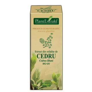 EXTRACT MLADITE CEDRU 50 ML