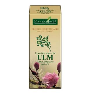 EXTRACT MUGURI ULM 50 ML