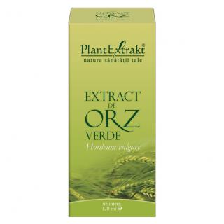 EXTRACT ORZ VERDE 120 ML