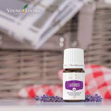 LAVENDER + ULEI ESENTIAL 5 ML