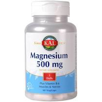MAGNESIUM 500 MG 60 CPS