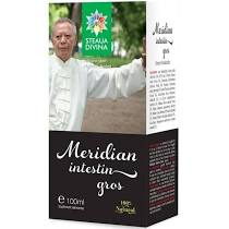 MERIDIAN INTESTIN GROS TINCTURA 100 ML