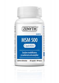 MSM 500 60 CPS