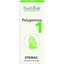 POLYGEMMA NR. 1 50 ML