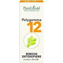 POLYGEMMA NR.12 50 ML