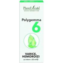 POLYGEMMA NR. 6 50 ML