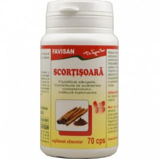 SCORTISOARA