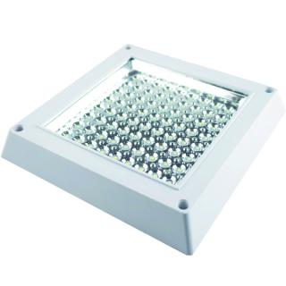 Plafoniera aplicata LED Ecoplanet, patrata 265x265mm, 12W, 960LM, lumina calda 3000k, sticla transparenta, alb