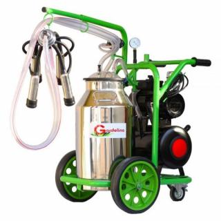 Aparat de muls bovine Gardelina Green Line T140 Inox IC, 1 post, 40 litri, A18001201