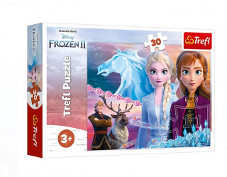 Puzzle Frozen 2 The Courage Of Sisters (30 de piese) - Trefl