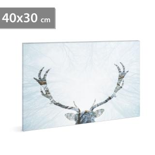 Imagine de dispozitie de perete cu LED - ren - 2 x AA, 40 x 30 cm