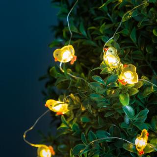 sir de lumina LED - model puisori de gaina  - 2 m - 20 LED - 2 x AA