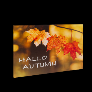 Tablou LED peisaj de toamna -   Hello Autumn   - 2 x AA, 40 x 30 cm