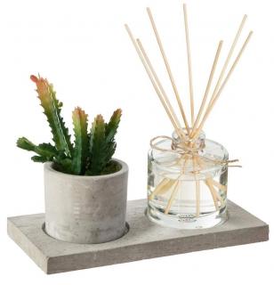 Set cadou Parfum AmbreJersey cu betisoare si planta artificiala, suport din Ciment, 22X11X9