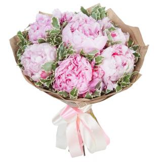 Buchet 7 bujori roz