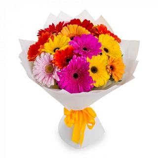 Buchet gerbera mix