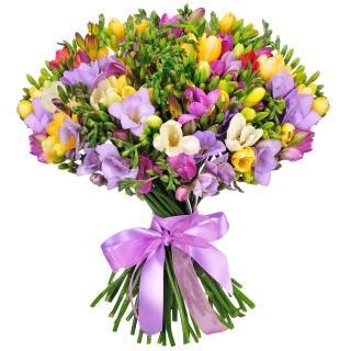 Buchet mix de 51 frezii