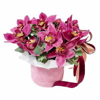 Cutie cu cymbidium