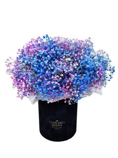 Cutie cu Gypsophila multicolora