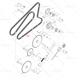 LANT DESCARCARE CEREALE COMBINA CASE IH L-5048.25 MM