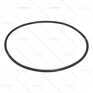 ORING PLANETARA FATA FIAT, FORD, NEW HOLLAND