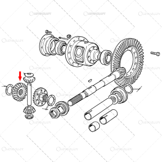 PINION DIFERENTIAL SPATE FIAT