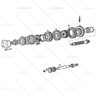 PINION VITEZA 1 Z - 47   42 FIAT