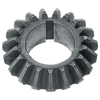 PINION Z 19 COASA ROTATIVA PZ, VICON, TAARUP, DEUTZ FAHR, KUHN, KVERNELAND