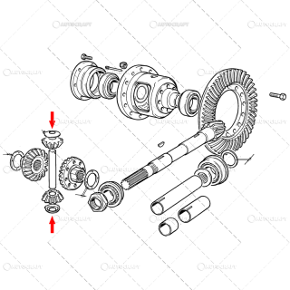 SAIBA PINION DIFERENTIAL SPATE FIAT