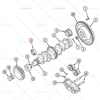 SET CUZINETI PALIER R1 (X4) CASE IH