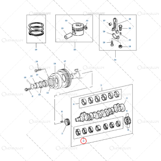 SET CUZINETI PALIER STD MASSEY FERGUSON