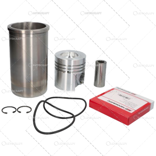 SET MOTOR CASE IH D155, D206, D310