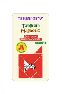 Tangram Magnetic (RO)