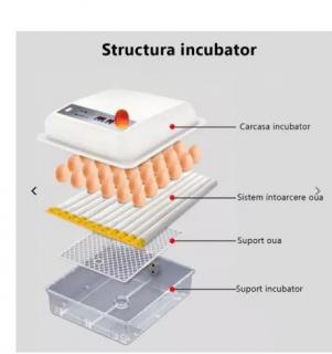 Incubator automat MS-36 oua