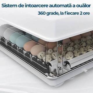 Incubator automat MS - 70