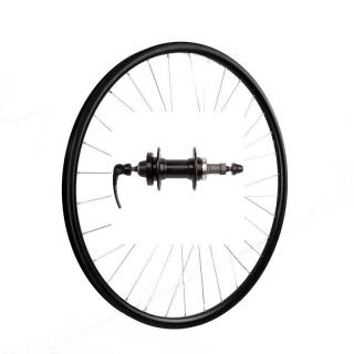 Roata Spate 29  (622x19C) SXT Basic Only-Capsata-36H-FD Filetat