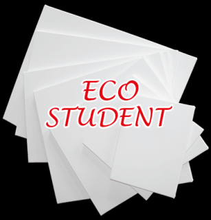 Pânze pentru pictură pe șasiu ECO STUDENT 60 x 70 cm