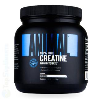 Creatina monohidrata micronizata pudra Universal Nutrition