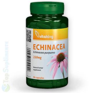 Echinaceea 90cps. Vitaking (imunitate, raceli, inflamatii)