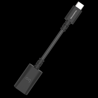 Extender Audioquest Dragontail USB C