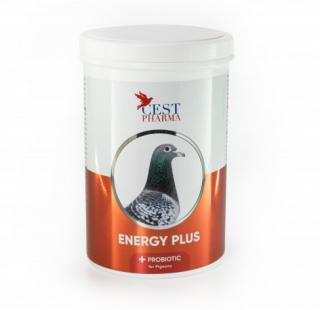 Energy Plus 600g