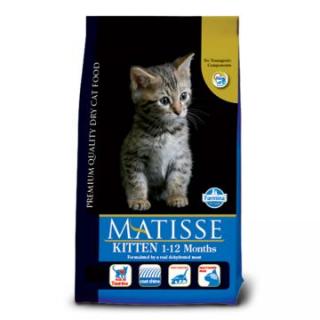 Matisse Kitten, 10Kg