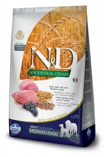 ND Ancestral Grain Adult Medium  Maxi Miel si Afine 12kg