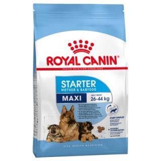 Royal Canin Maxi Starter