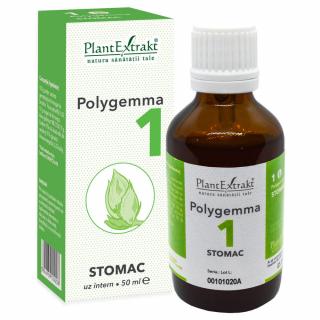 Polygemma 1, Stomac, 50 ml, Plant Extrakt