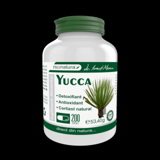 Yucca 200 capsule, Medica