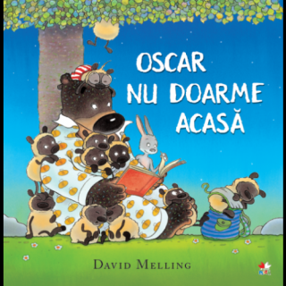 Oscar nu doarme acasa