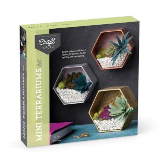 Set creativ - Mini Terrariums Kit